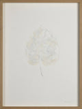 Monstera I — Emilio Ferrer, sztuka współczesna, widok 1