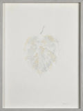 Monstera II — Emilio Ferrer, sztuka współczesna, widok 1